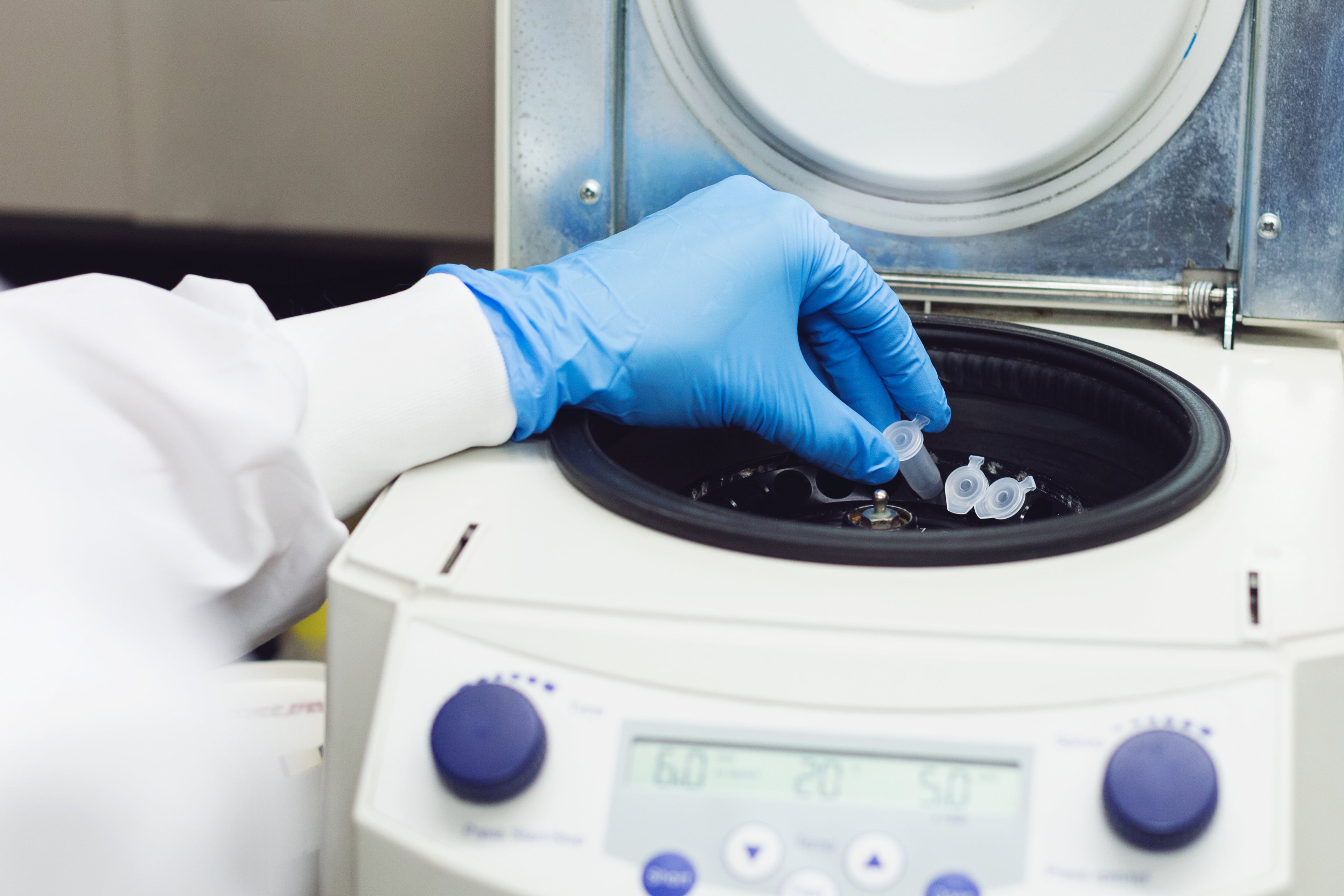 Mini VIDAS machine performing canine progesterone testing for dog breeders